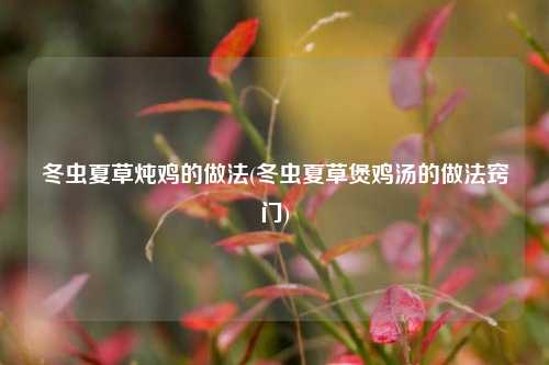 冬虫夏草炖鸡的做法(冬虫夏草煲鸡汤的做法窍门)