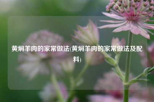 黄焖羊肉的家常做法(黄焖羊肉的家常做法及配料)