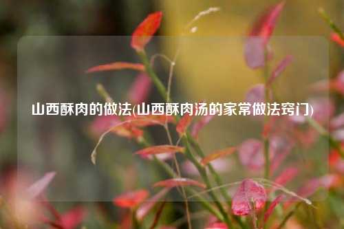 山西酥肉的做法(山西酥肉汤的家常做法窍门)
