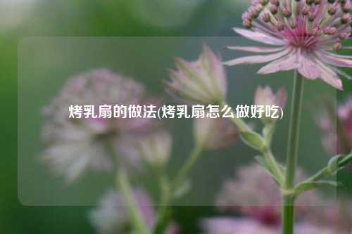 烤乳扇的做法(烤乳扇怎么做好吃)