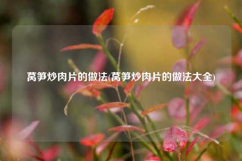 莴笋炒肉片的做法(莴笋炒肉片的做法大全)