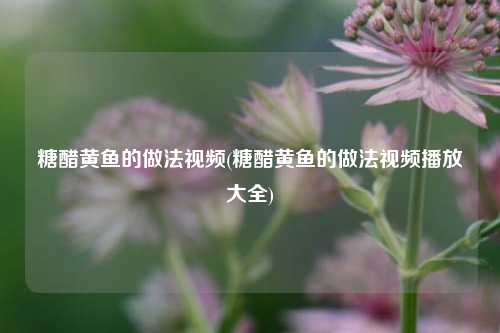 糖醋黄鱼的做法视频(糖醋黄鱼的做法视频播放大全)