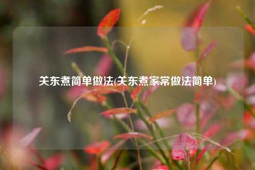 关东煮简单做法(关东煮家常做法简单)