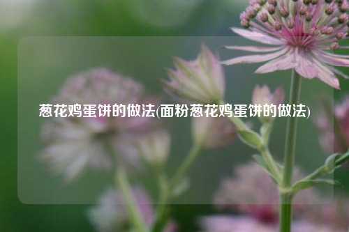 葱花鸡蛋饼的做法(面粉葱花鸡蛋饼的做法)